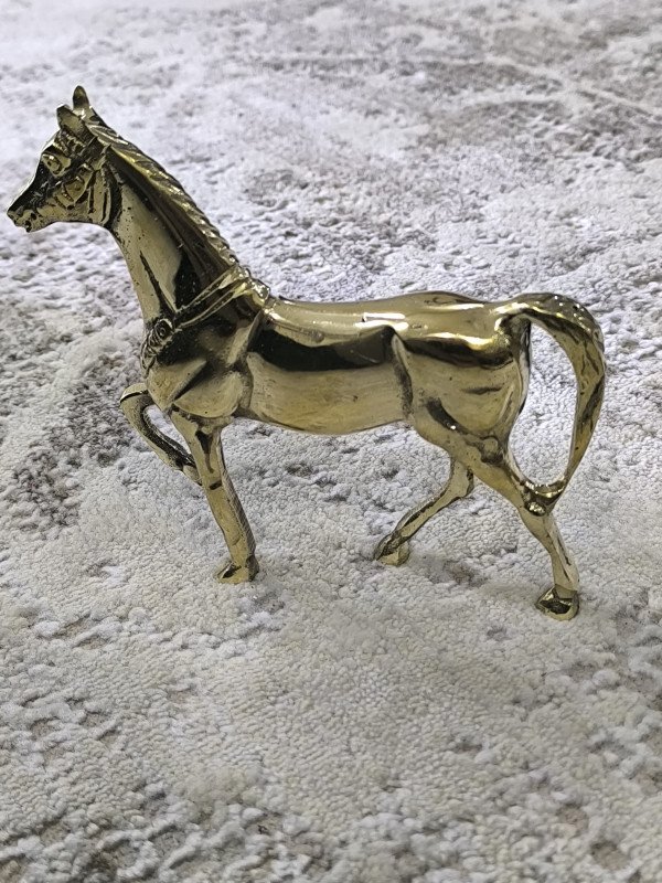 حصان جميل جديد من النحاس Beautiful new copper horse