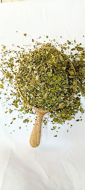 مورينجا