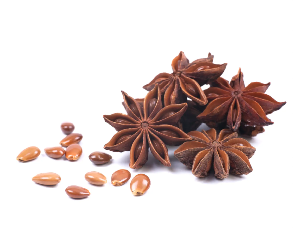 يانسون النجمه