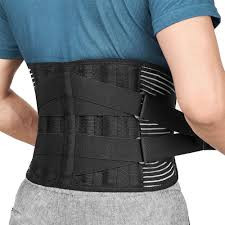 ProFit Lumbar Back Support Brace