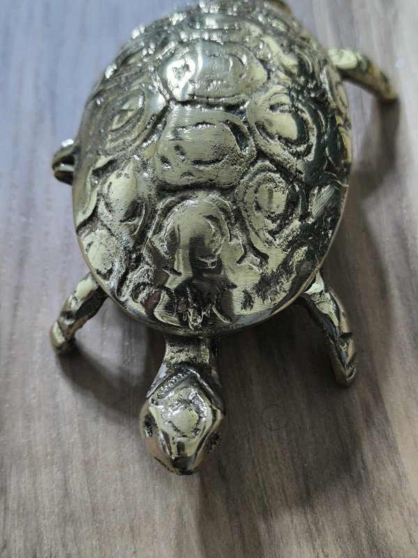 حافظة جديدة على شكل سلحفاة من النحاس New Tortoise Shell Brass Case