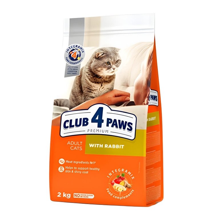 Club 4 Paws with rabbit