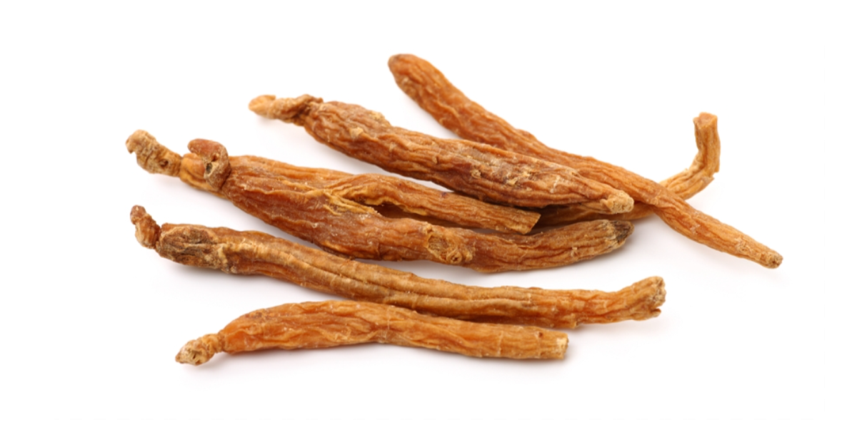جذور الجنسنج