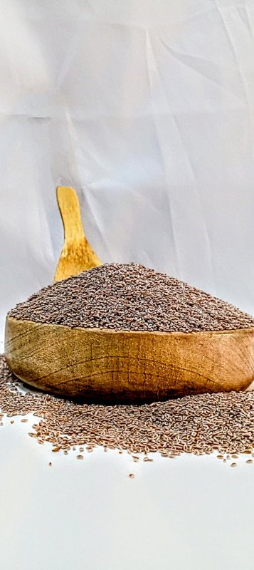 بذور القاطونه
