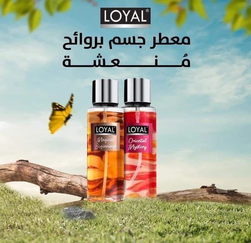 سبلاش LOYAL