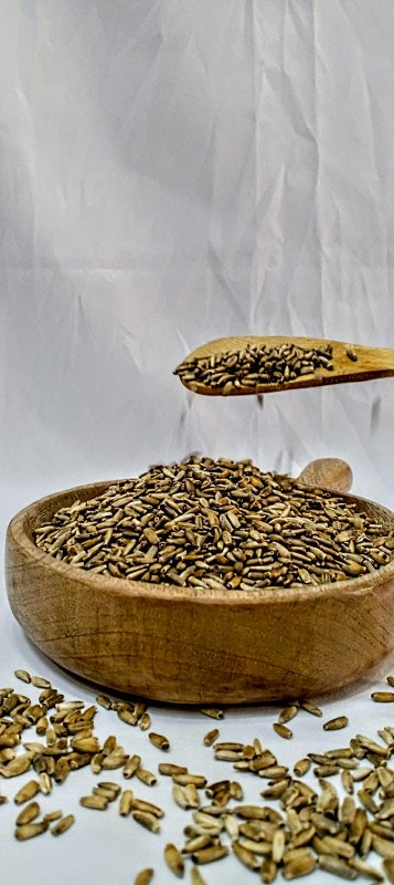 شوكة الجمل