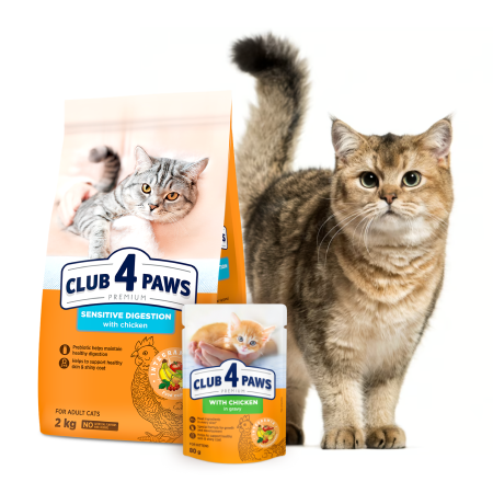 Club 4 Paws with veal