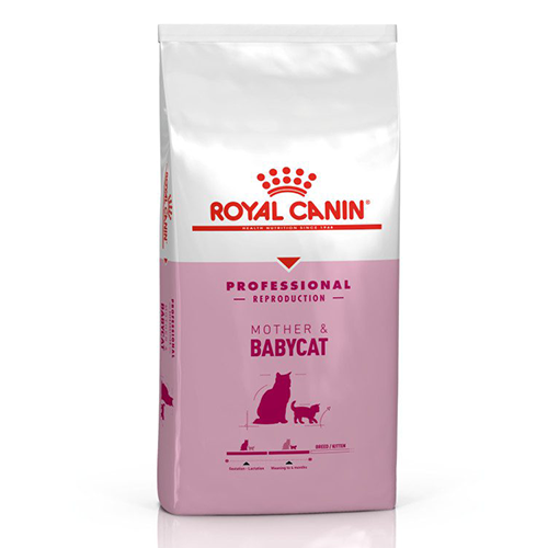 Royal canin mother and babycat