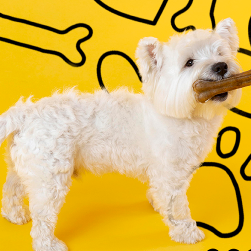 Pet Supplies