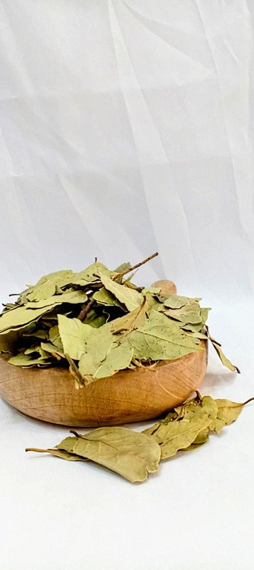 ورق غار